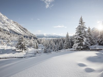 Winterurlaub im Stubaital mit Wow-Faktor ❄ Verschneite Berglandschaft mit Tannen im Winter bei Sonnenaufgang