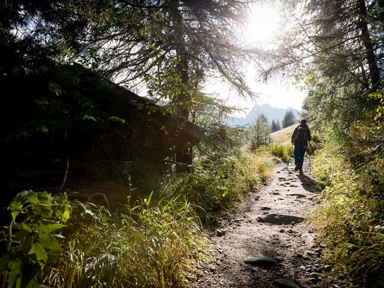 Beispielaufbau einer Unterseite Wanderer mit Rucksack auf Waldweg bei Sonnenschein